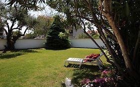 Apartments And Room Anka